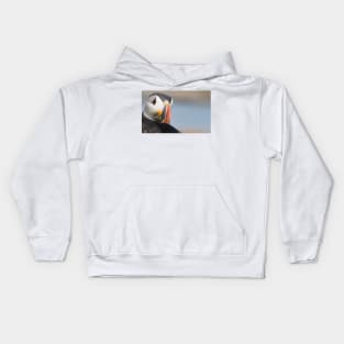 The Puffin Kids Hoodie